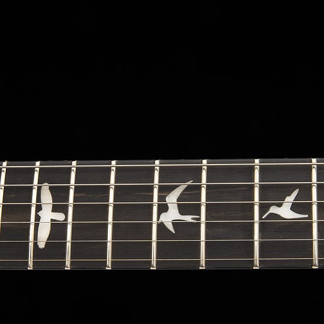 Se custom 24 floyd 2026 charcoal cherry burst hero e