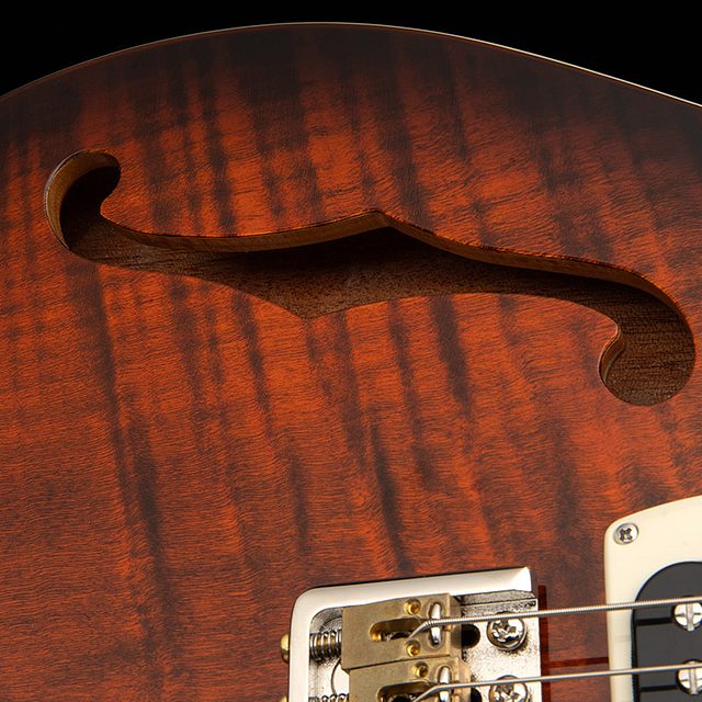 Se custom 24 semi hollow piezo 2026 orange tiger smokeburst hero d