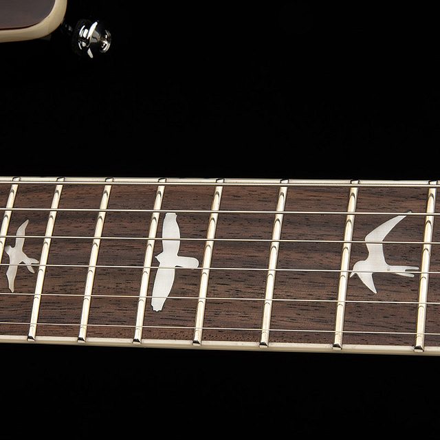 Se custom 24 semi hollow piezo 2026 orange tiger smokeburst hero e