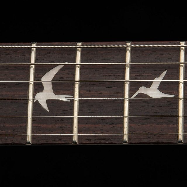 Se ce 24 standard satin stoptail 2025 hero e