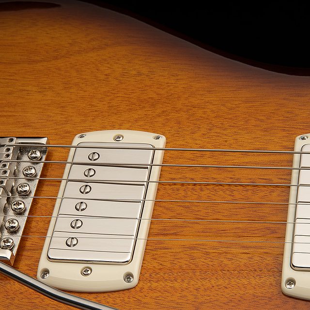 Se dgt standard 2025 mccarty tobacco sunburst hero c