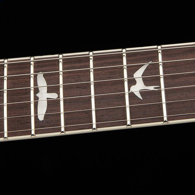 Se hollowbody I piezo 2026 hero f