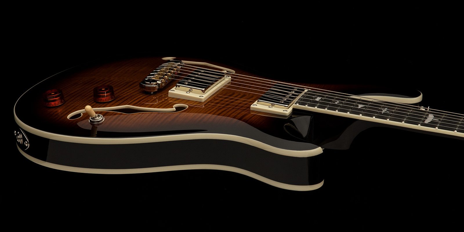 Se hollowbody II gallery 2 2022