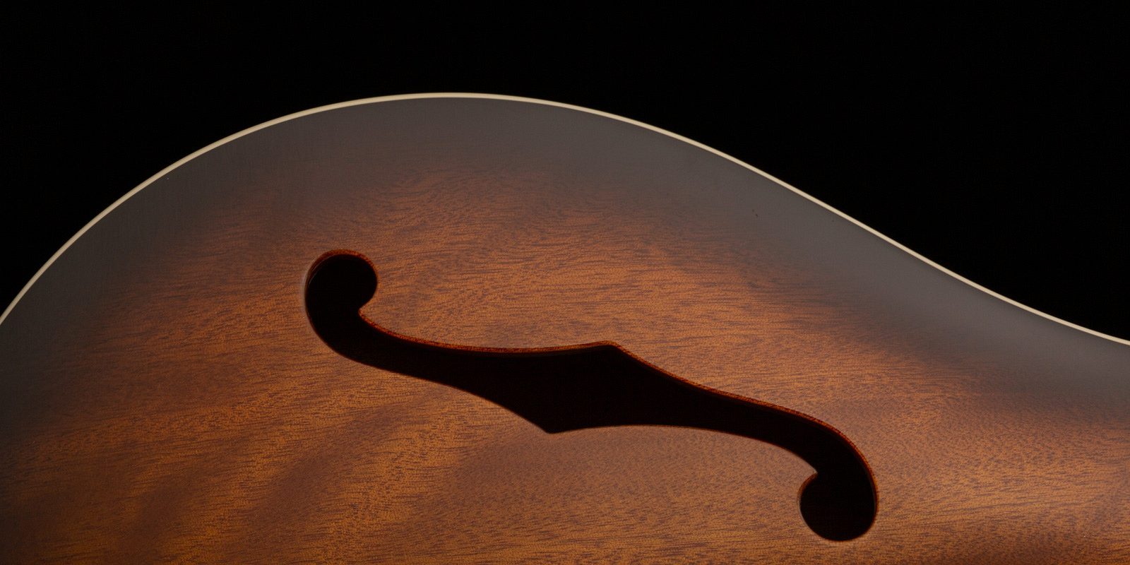 Se hollowbody standard 2021 gallery 4