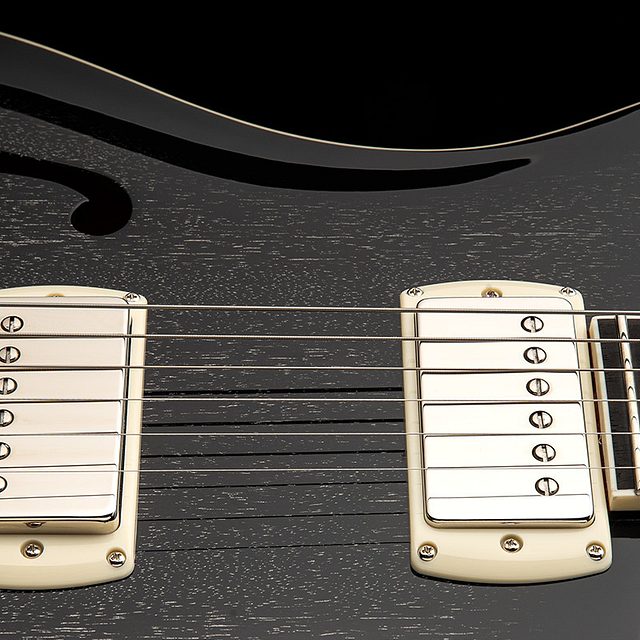 Se hollowbody standard 2025 doghair smokeburst hero b
