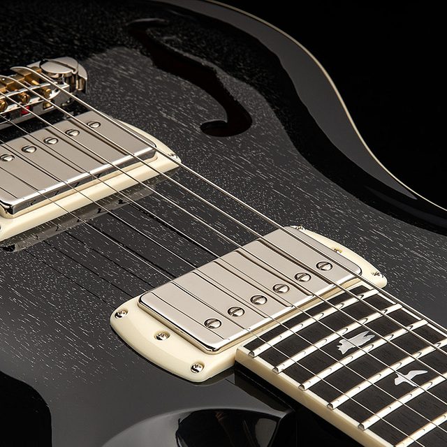 Se hollowbody standard 2025 doghair smokeburst hero c