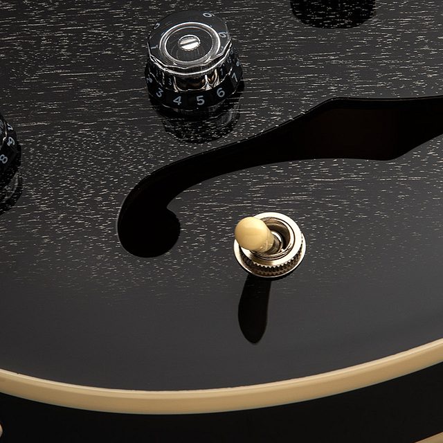 Se hollowbody standard 2025 doghair smokeburst hero d