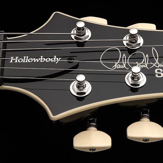 Se hollowbody standard 2025 doghair smokeburst hero e