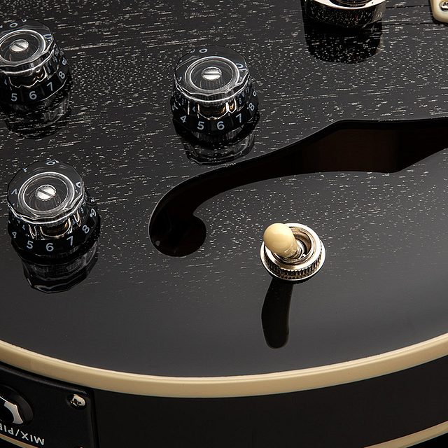 Se hollowbody standard piezo 2025 dog hair smokeburst hero d