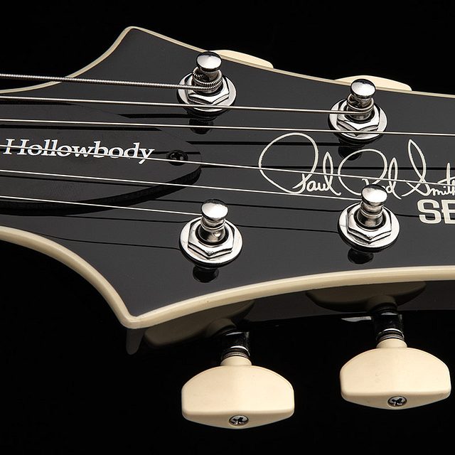 Se hollowbody standard piezo 2025 dog hair smokeburst hero f