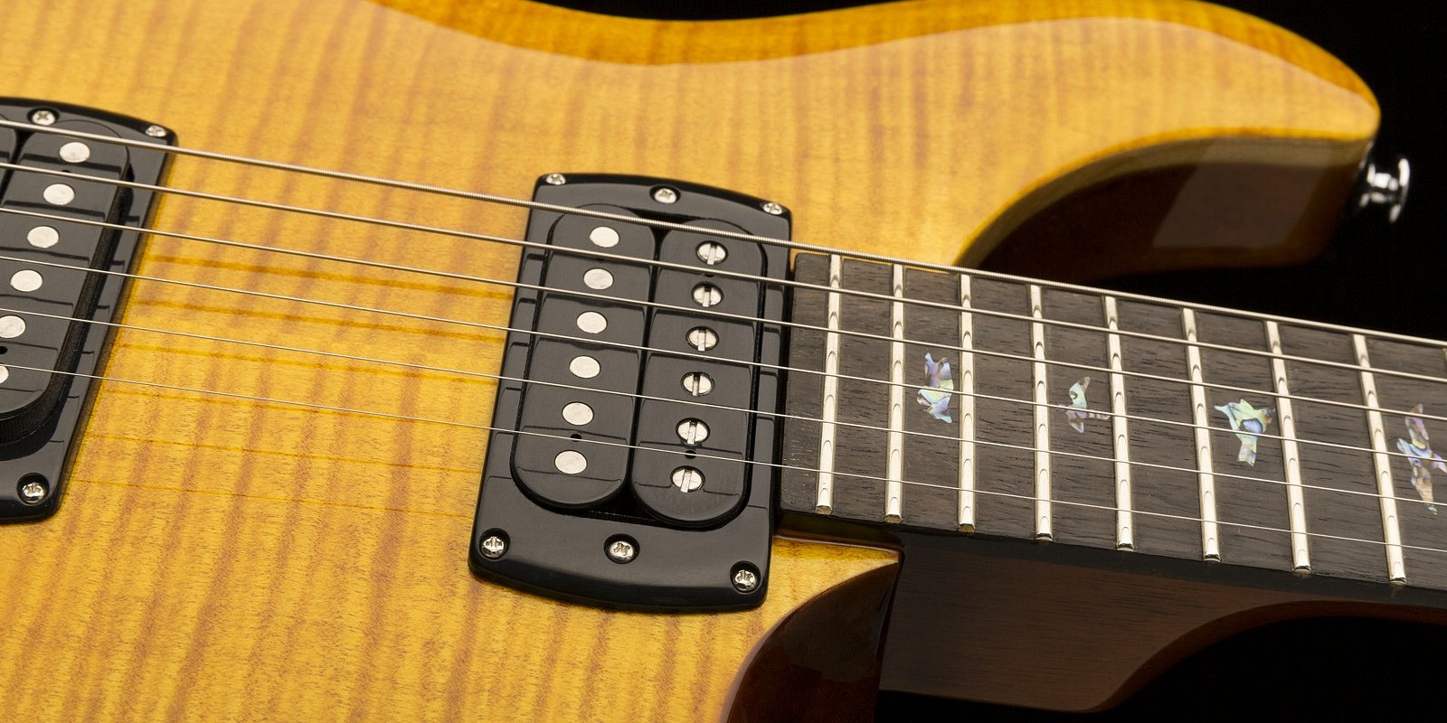 PRS Guitars | SE Paul's Guitar - 2021