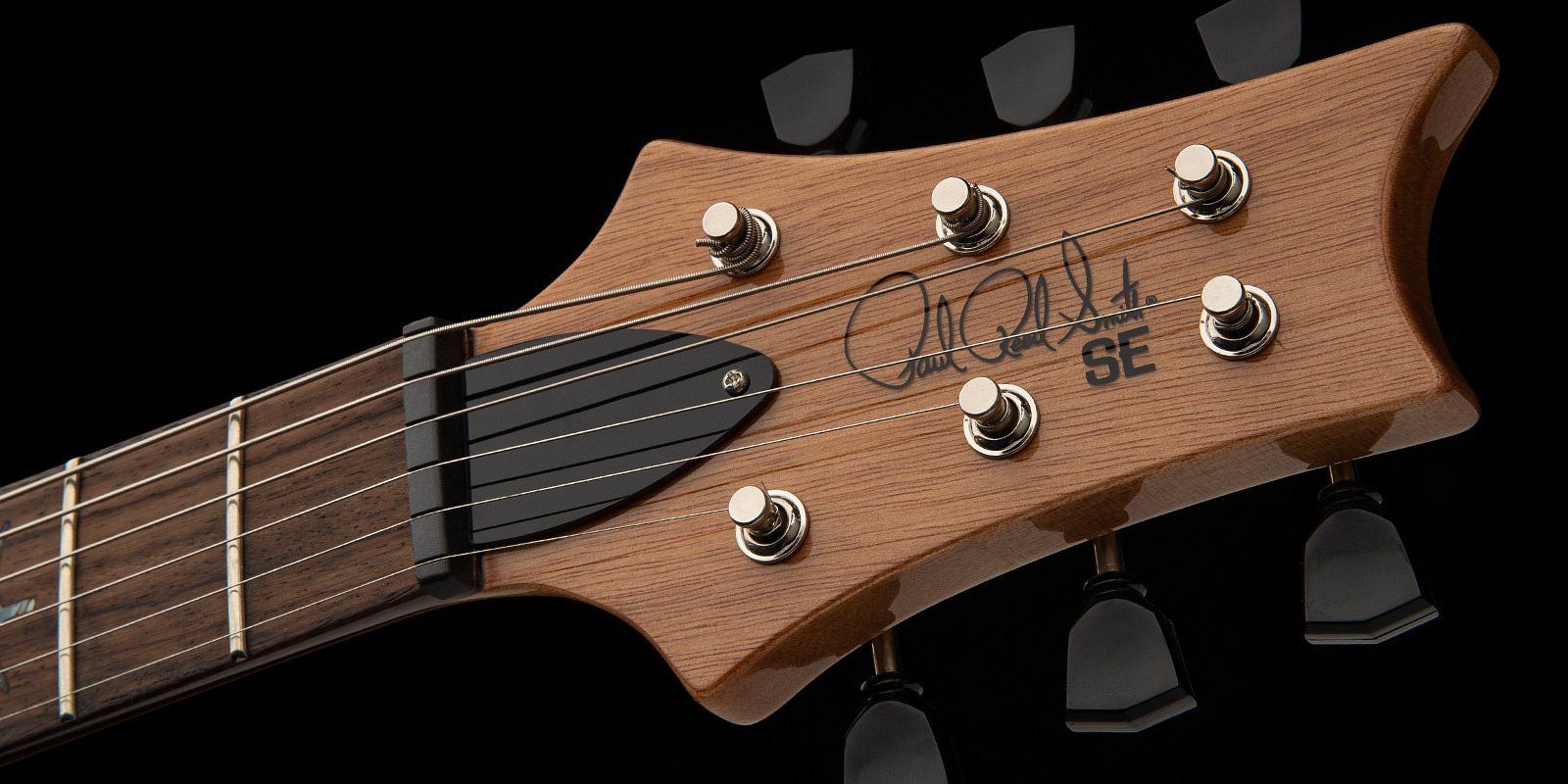 PRS Guitars | SE Paul's Guitar - 2024