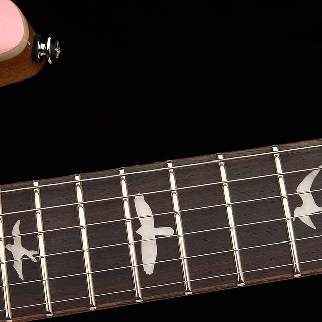 Se rock lady limited edition 2026 hero e