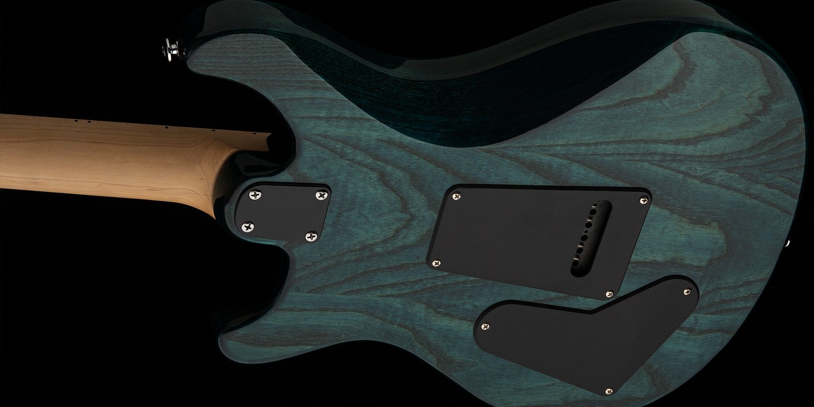 Se swamp ash special 2024 hero2