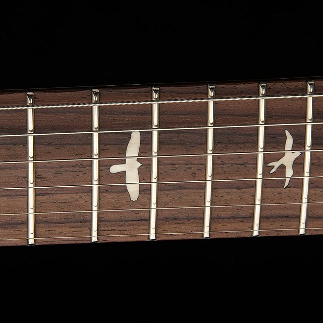 Se silver sky rosewood lefty 2025 laurel green hero d