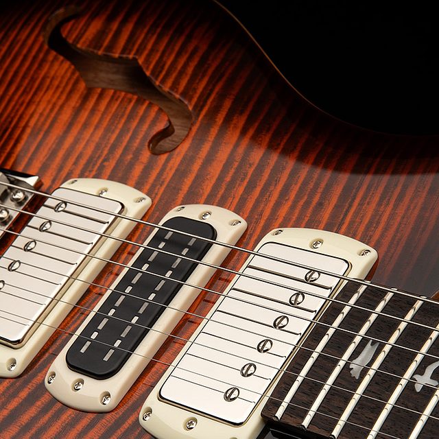 Se special semi hollow 2025 hero b