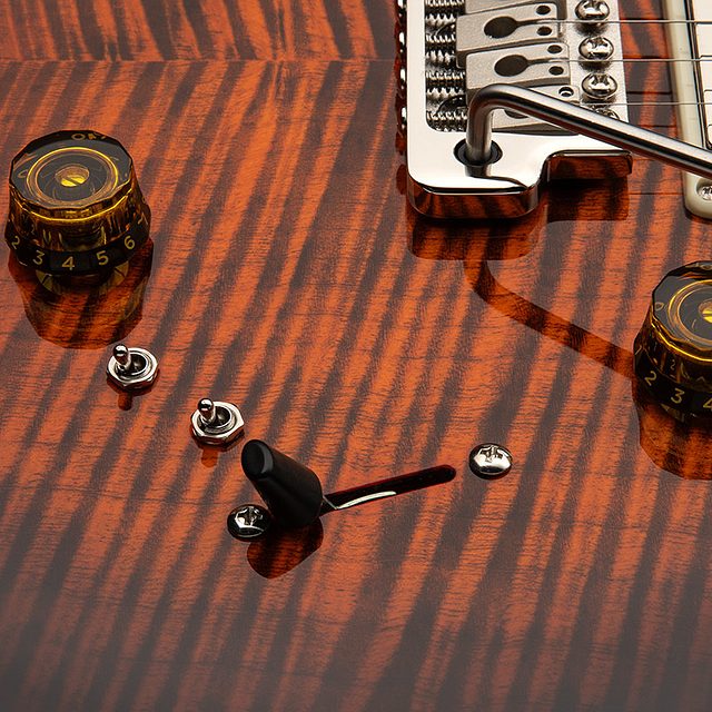Se special semi hollow 2025 hero d