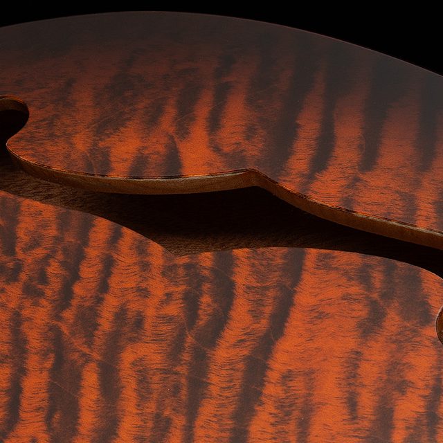 Se special semi hollow 2026 orange tiger smokeburst hero e