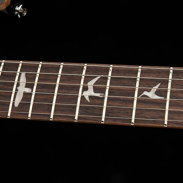 Se special semi hollow 2026 orange tiger smokeburst hero f