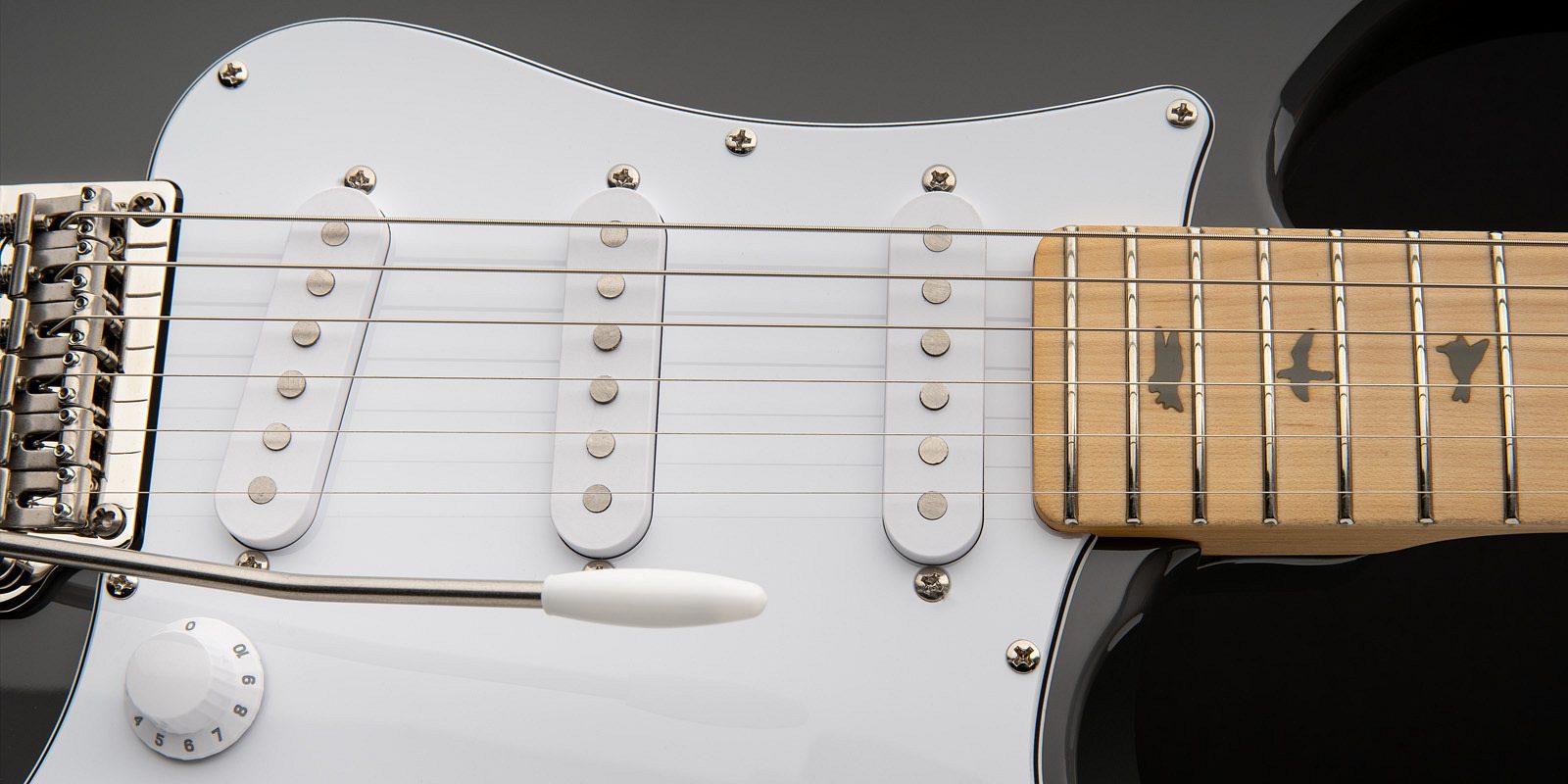 PRS Guitars | SE Silver Sky Maple - 2023