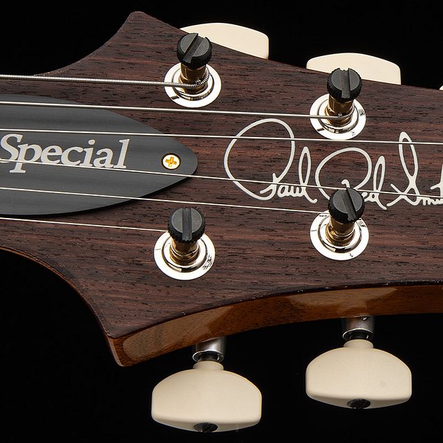 Special semi hollow 2026 aurora borealis hero g