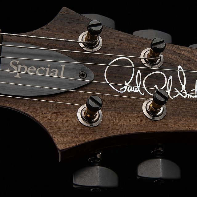 Special semi hollow mango limited edition 2026 charcoal purple burst hero g