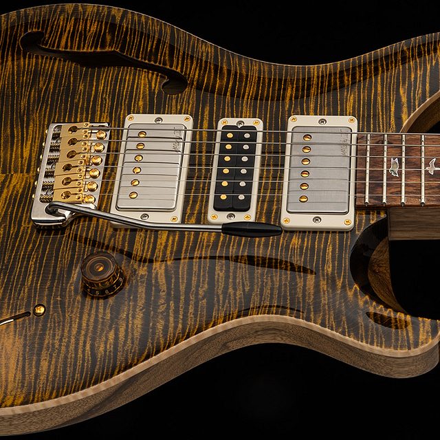 40th anniversary special semi hollow limited edition 2025 hero a