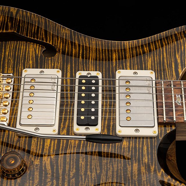 40th anniversary special semi hollow limited edition 2025 hero c