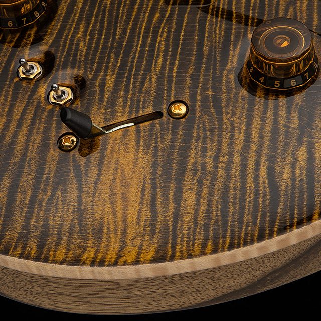 40th anniversary special semi hollow limited edition 2025 hero d