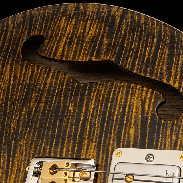 40th anniversary special semi hollow limited edition 2025 hero e