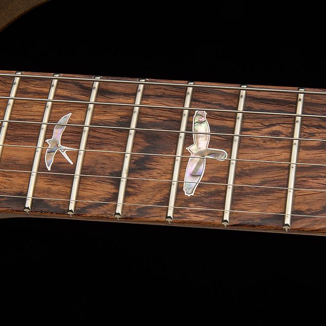 40th anniversary special semi hollow limited edition 2025 hero f