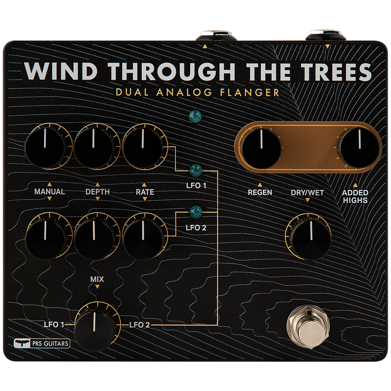 Wind through the trees top
